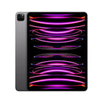 Apple iPad Pro 12.9 Zoll 6. Generation 256 GB Wi-Fi + Cellular Space Grau Generalüberholt