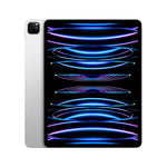 Apple iPad Pro 12.9 Zoll 6. Generation 256 GB Wi-Fi + Cellular Space Grau Generalüberholt