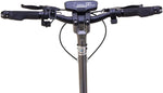 SMARTGYRO Elektroroller 48V 500W 13.000 mAh Vorder- und Hinterradfederung Multifunktionsdisplay 10 Zoll Luftreifen Grau
