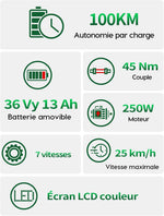 Runetic E-Bike 26 Zoll 7 Gang Pedelec 250W 36V 13Ah Grau