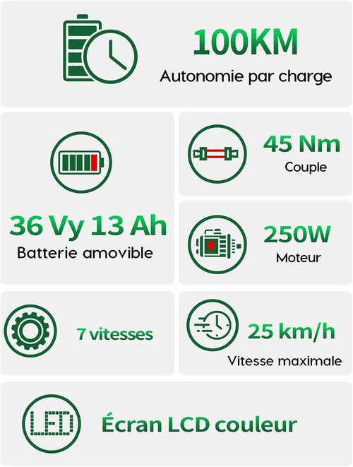 Runetic E-Bike 26 Zoll 7 Gang Pedelec 250W 36V 13Ah Grau