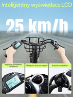 Runetic E-Bike 26 Zoll 7 Gang Pedelec 250W 36V 13Ah Grau