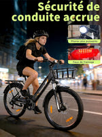 Runetic E-Bike 26 Zoll 7 Gang Pedelec 250W 36V 13Ah Grau