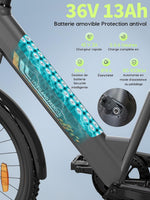 Runetic E-Bike 26 Zoll 7 Gang Pedelec 250W 36V 13Ah Grau