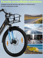 Runetic E-Bike 26 Zoll 7 Gang Pedelec 250W 36V 13Ah Grau