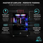 Dantype Gaming PC MSI RTX 5050 8GB AMD Ryzen 5 5500 16GB RAM 500GB SSD