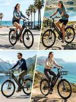 Runetic E-Bike 26 Zoll 7 Gang Pedelec 250W 36V 13Ah Grau