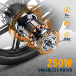 AZMA F1 E-Bike Klapprad 20 Zoll 36V 20.8 Ah Schwarz