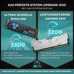 Dantype Gaming PC MSI RTX 5050 8GB AMD Ryzen 5 5500 16GB RAM 500GB SSD