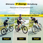ESKUTE C202 26 Zoll E-Bike 48V 17,5Ah 250W 7-Gang Schwarz