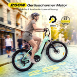 ESKUTE C202 26 Zoll E-Bike 48V 17,5Ah 250W 7-Gang Schwarz